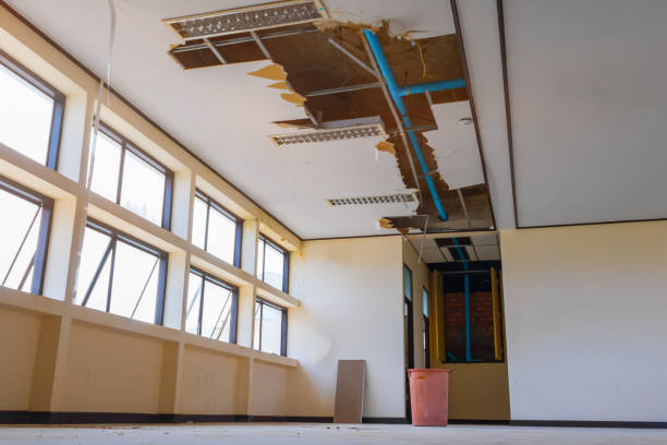 Best Water damage repair service  in Fairland, OK