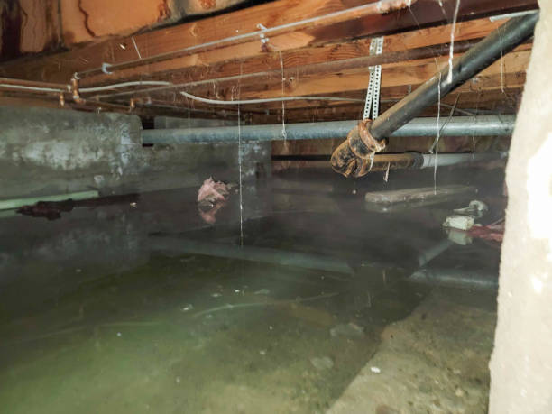 Best Carpet water damage restoration  in Fairland, OK