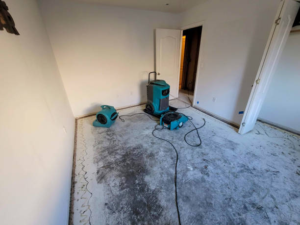 Best Flood restoration services  in Fairland, OK