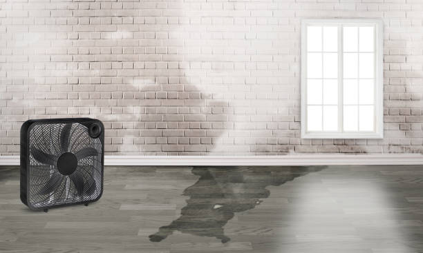  Fairland, OK Water damage restoration Pros