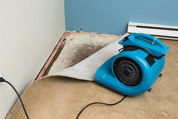 Best Commercial water damage restoration  in Fairland, OK
